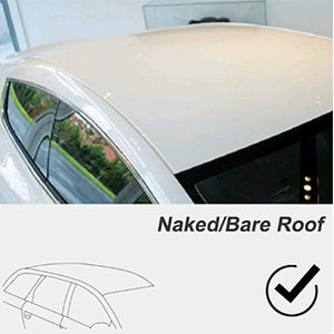 For Naked Roof